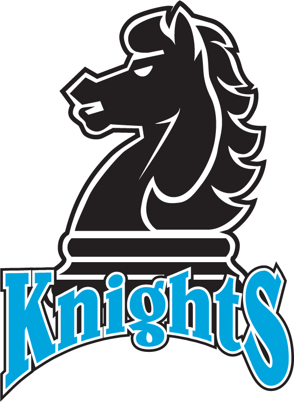 Fairleigh Dickinson Knights 1995-2004 Primary Logo DIY iron on transfer (heat transfer)